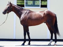 ����å��ǳ��������ɽ�����ޤ�