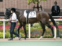 ����å��ǳ��������ɽ�����ޤ�