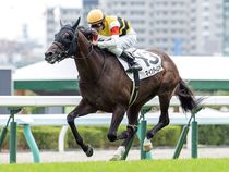 ����å��ǳ��������ɽ�����ޤ�