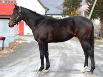 ����å��ǳ��������ɽ�����ޤ�