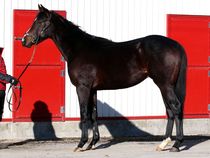 ����å��ǳ��������ɽ�����ޤ�