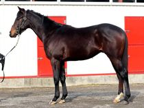 ����å��ǳ��������ɽ�����ޤ�