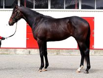 ����å��ǳ��������ɽ�����ޤ�