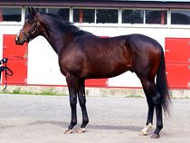 ����å��ǳ��������ɽ�����ޤ�