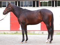 ����å��ǳ��������ɽ�����ޤ�