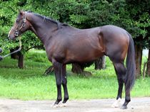 ����å��ǳ��������ɽ�����ޤ�