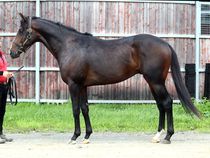 ����å��ǳ��������ɽ�����ޤ�