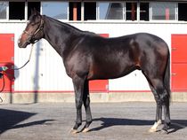 ����å��ǳ��������ɽ�����ޤ�