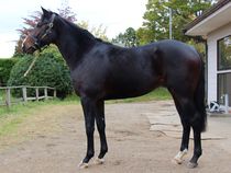 ����å��ǳ��������ɽ�����ޤ�