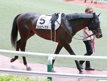 ����å��ǳ��������ɽ�����ޤ�