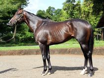 ����å��ǳ��������ɽ�����ޤ�