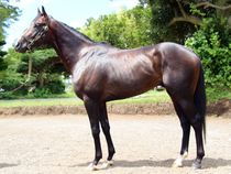 ����å��ǳ��������ɽ�����ޤ�