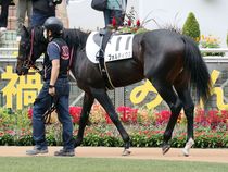 ����å��ǳ��������ɽ�����ޤ�