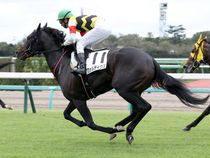 ����å��ǳ��������ɽ�����ޤ�