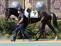 ����å��ǳ��������ɽ�����ޤ�