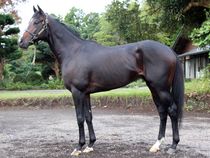 ����å��ǳ��������ɽ�����ޤ�