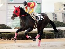 ����å��ǳ��������ɽ�����ޤ�