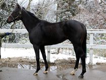 ����å��ǳ��������ɽ�����ޤ�