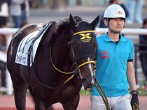 ����å��ǳ��������ɽ�����ޤ�