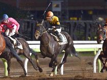 ����å��ǳ��������ɽ�����ޤ�