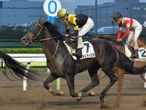 ����å��ǳ��������ɽ�����ޤ�