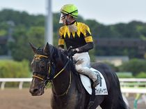 ����å��ǳ��������ɽ�����ޤ�