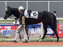 ����å��ǳ��������ɽ�����ޤ�