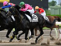 ����å��ǳ��������ɽ�����ޤ�