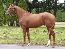 ����å��ǳ��������ɽ�����ޤ�