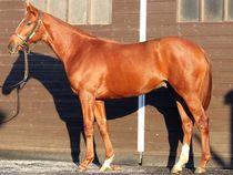 ����å��ǳ��������ɽ�����ޤ�