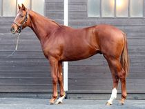 ����å��ǳ��������ɽ�����ޤ�