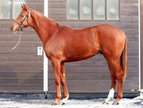 ����å��ǳ��������ɽ�����ޤ�