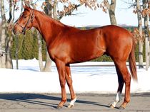 ����å��ǳ��������ɽ�����ޤ�