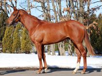 ����å��ǳ��������ɽ�����ޤ�