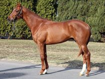 ����å��ǳ��������ɽ�����ޤ�