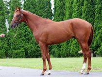 ����å��ǳ��������ɽ�����ޤ�