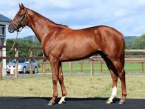 ����å��ǳ��������ɽ�����ޤ�