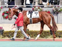 ����å��ǳ��������ɽ�����ޤ�