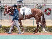 ����å��ǳ��������ɽ�����ޤ�