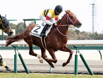 ����å��ǳ��������ɽ�����ޤ�