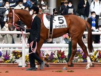 ����å��ǳ��������ɽ�����ޤ�