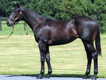 ����å��ǳ��������ɽ�����ޤ�