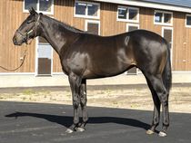 ����å��ǳ��������ɽ�����ޤ�