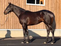 ����å��ǳ��������ɽ�����ޤ�