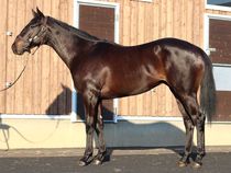 ����å��ǳ��������ɽ�����ޤ�