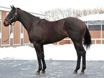 ����å��ǳ��������ɽ�����ޤ�