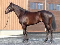 ����å��ǳ��������ɽ�����ޤ�