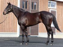 ����å��ǳ��������ɽ�����ޤ�