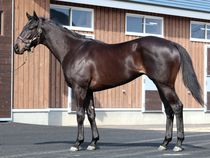 ����å��ǳ��������ɽ�����ޤ�