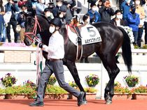 ����å��ǳ��������ɽ�����ޤ�